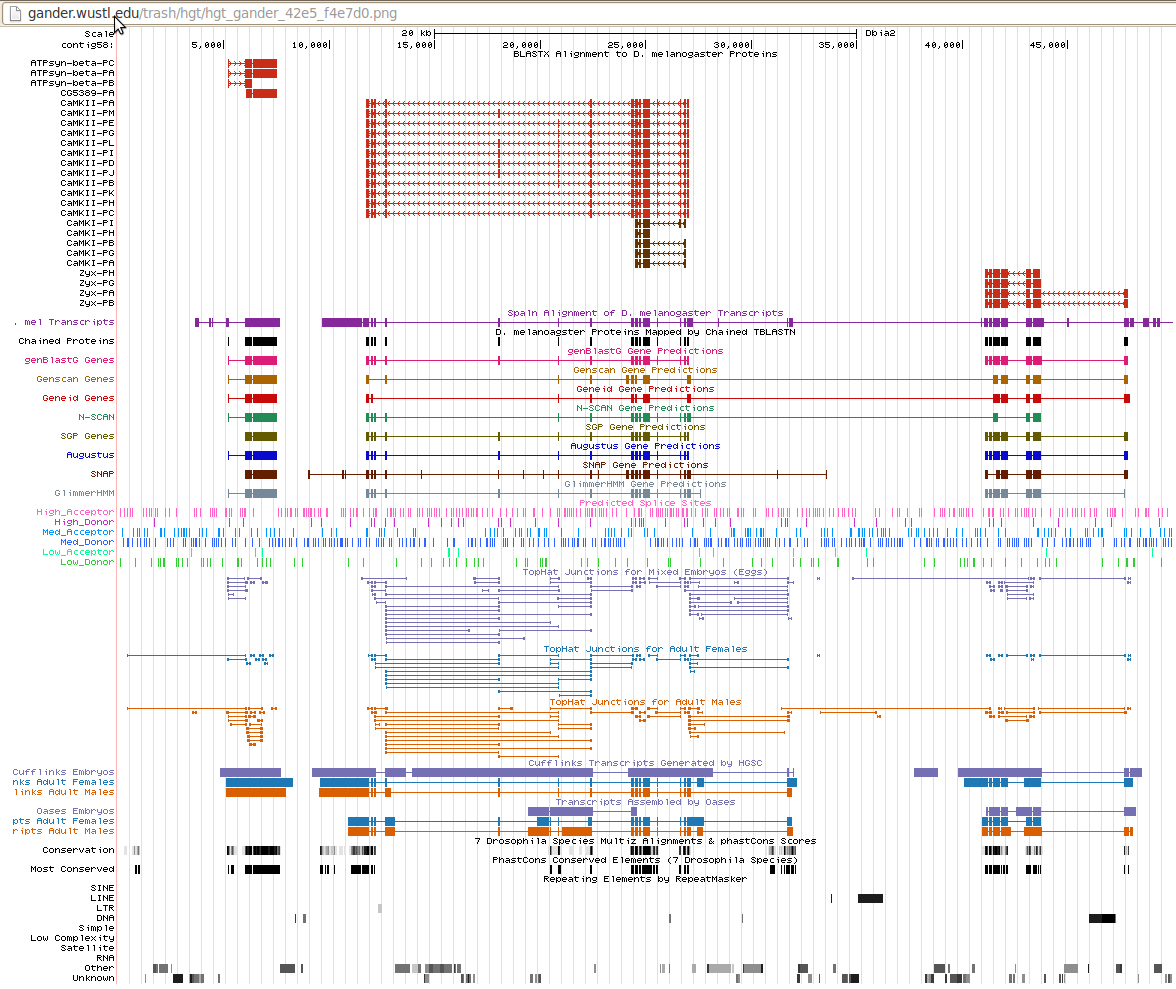 USCS Genome Browser